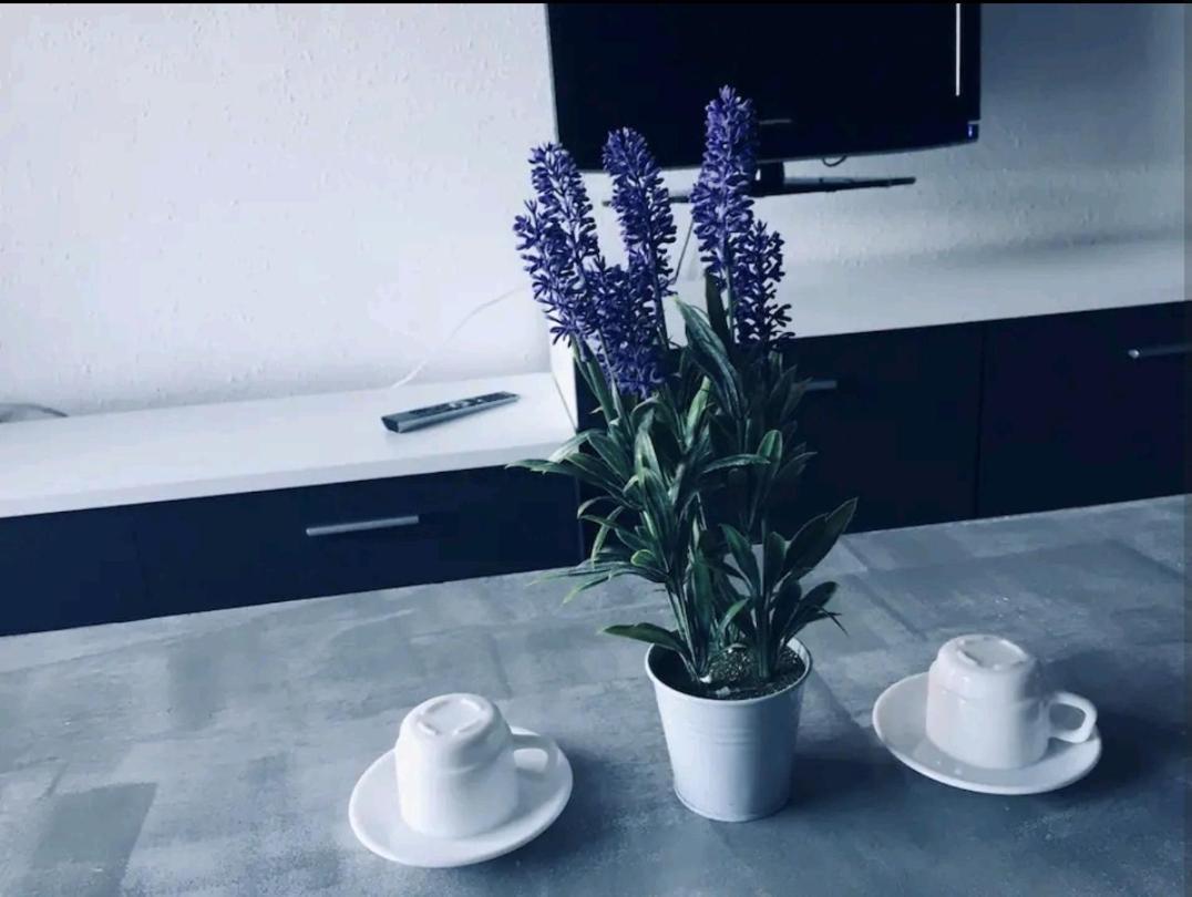 Bonito Apartamento Cerca De La Playa 살루 외부 사진